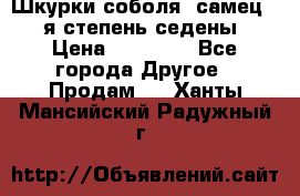 Шкурки соболя (самец) 1-я степень седены › Цена ­ 12 000 - Все города Другое » Продам   . Ханты-Мансийский,Радужный г.